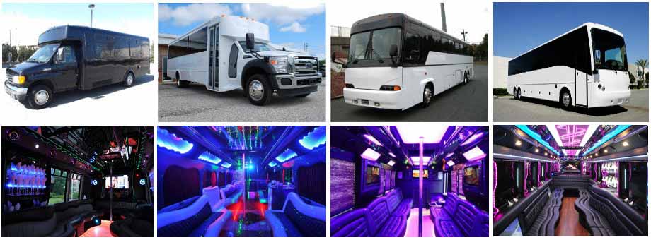 Wedding Transportation Party Buses New Orleans