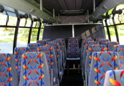 20 Person Mini Bus Rental Estelle